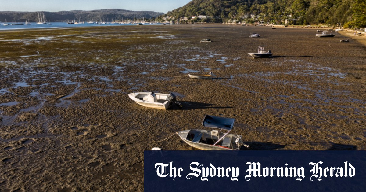 Marées de Sydney : grandes hautes et basses
