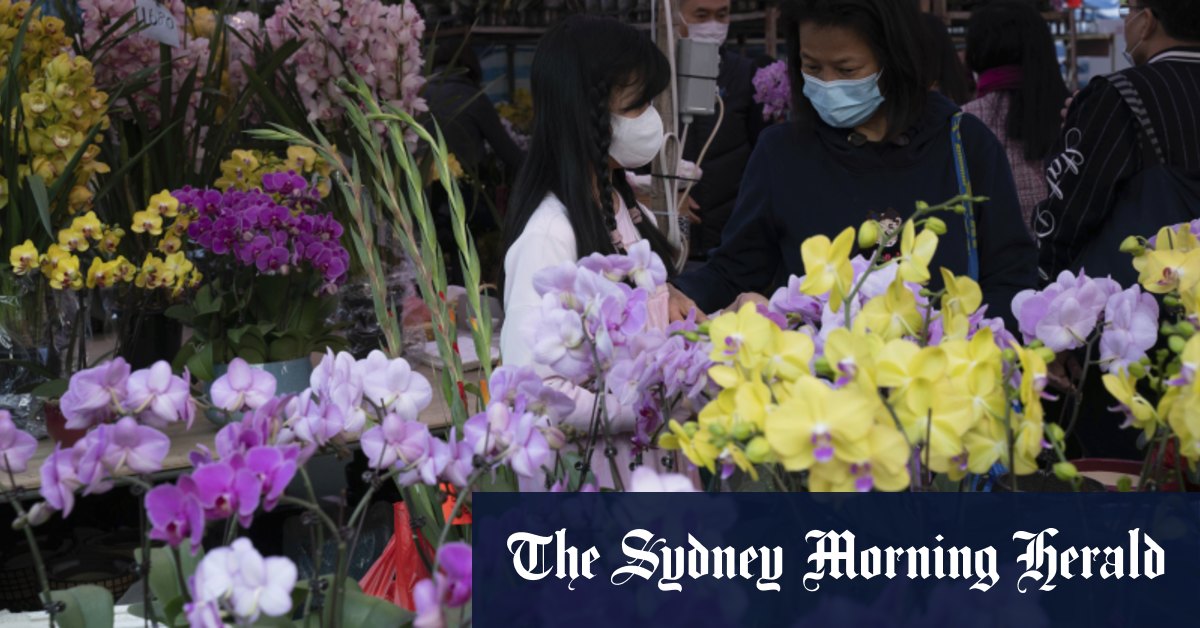 Les meilleurs choix pour le bonheur, la chance et le succès