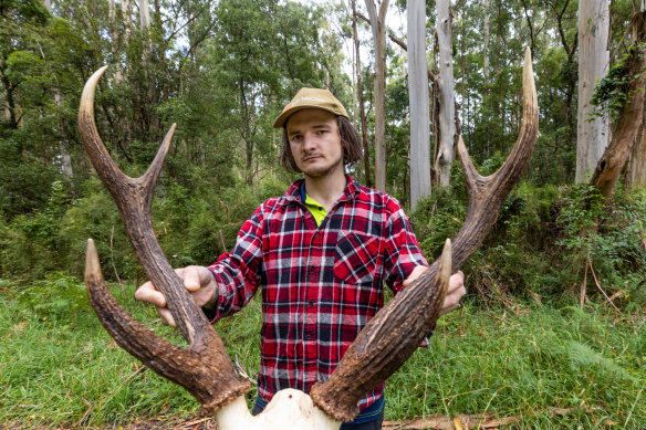Le chasseur de cerfs Nick Barlow qui tire des cerfs pour les agriculteurs touchés par les espèces envahissantes.