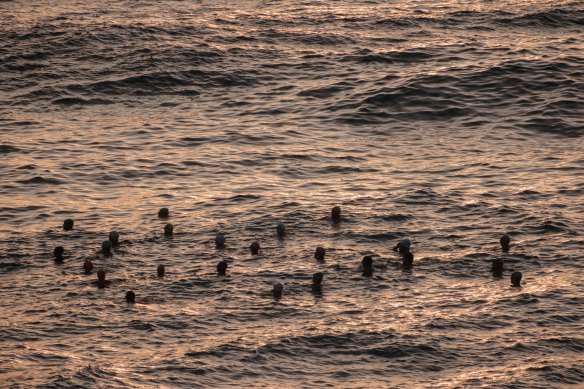 Ces nageurs de Bondi Beach étaient cool, calmes et recueillis alors qu'ils commençaient hier à profiter des rayons du soleil tôt le matin jeudi.