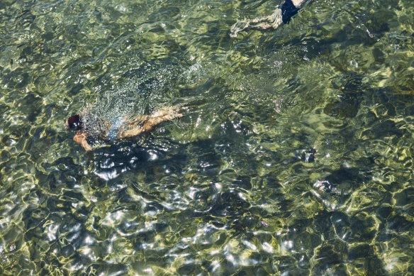Nageurs dans la piscine commémorative de Ross Jones à Coogee.
