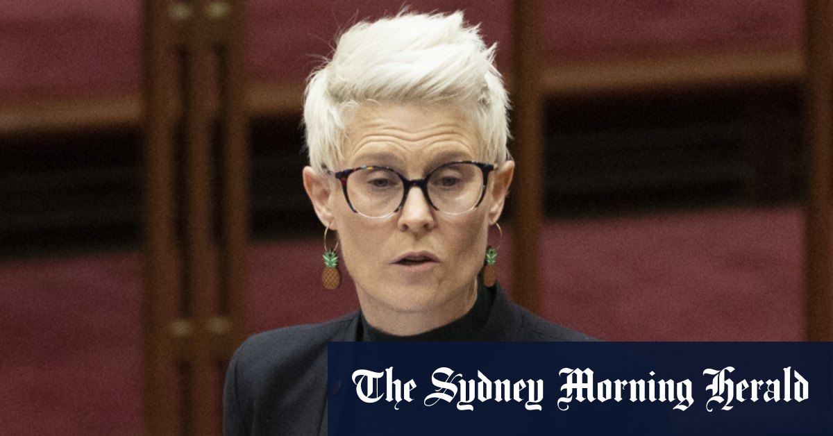 Les Verts exigent des changements pour empêcher la mesure de 15 milliards de dollars de se transformer en "caisse noire pour les combustibles fossiles"