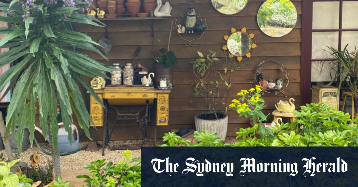 L'astuce pour que les déchets de quelqu'un d'autre aient fière allure dans votre jardin