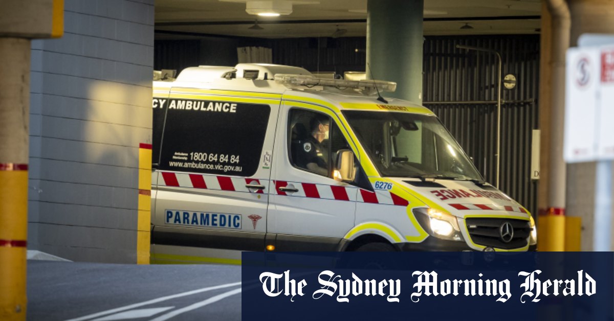 Près de 20 000 personnes de plus sont mortes en Australie l'année dernière que prévu