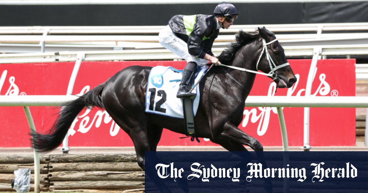 Warwick Farm courses Conseils du mercredi et aperçu complet