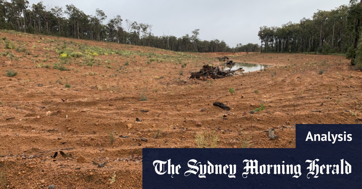 Alcoa doit arrêter de déformer les faits et commencer à réparer nos forêts