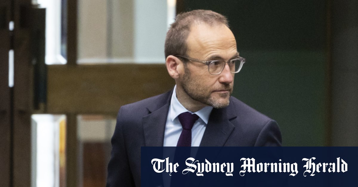 L'approche d'Adam Bandt en matière de politique climatique "tout ou rien", selon un militant