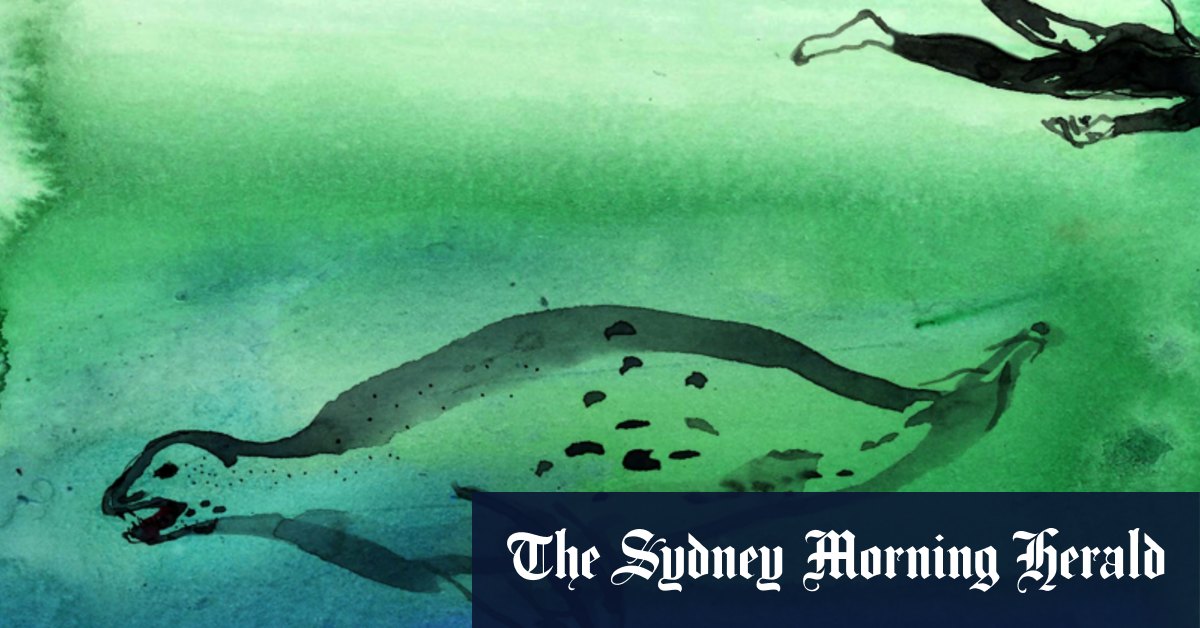 Un visiteur de phoque léopard décide que nous avons manqué la vue d'ensemble