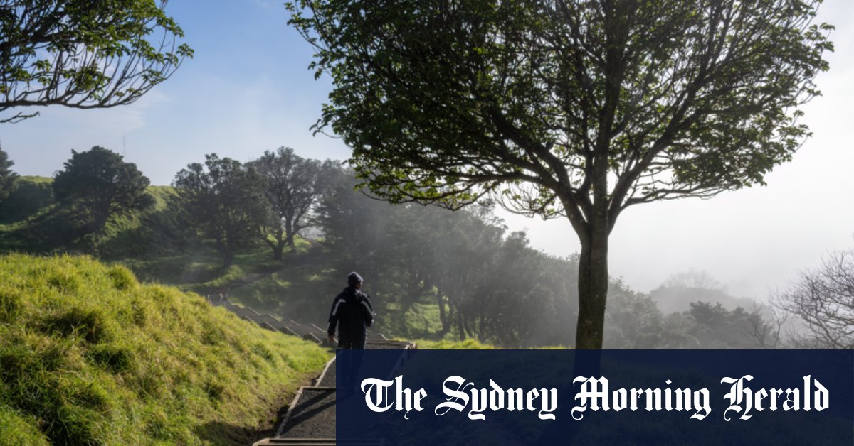 Quel est le contraire d'un déclencheur ?  C'est ce qu'on appelle une "lueur"