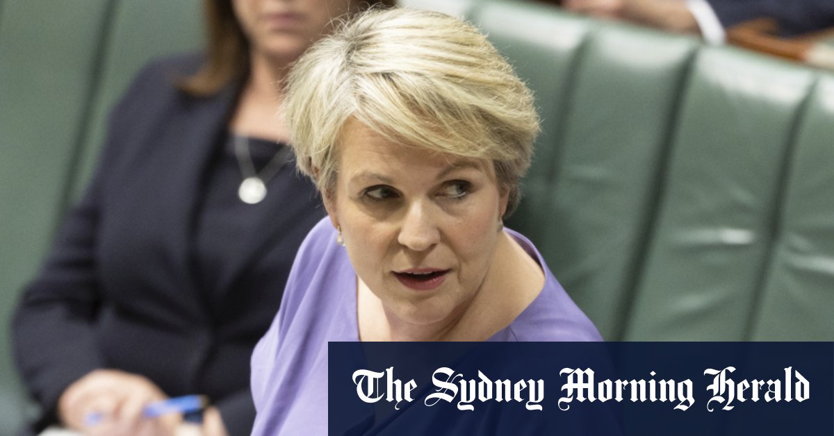 Tanya Plibersek donne sa première approbation pour une nouvelle mine de charbon, déclenchant la réaction du groupe vert