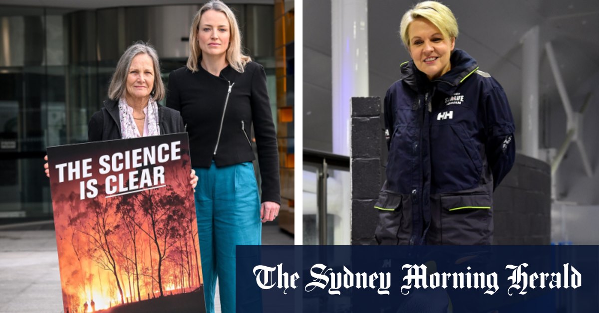 La ministre de l'Environnement, Tanya Plibersek, devant un tribunal pour des évaluations de mines de charbon