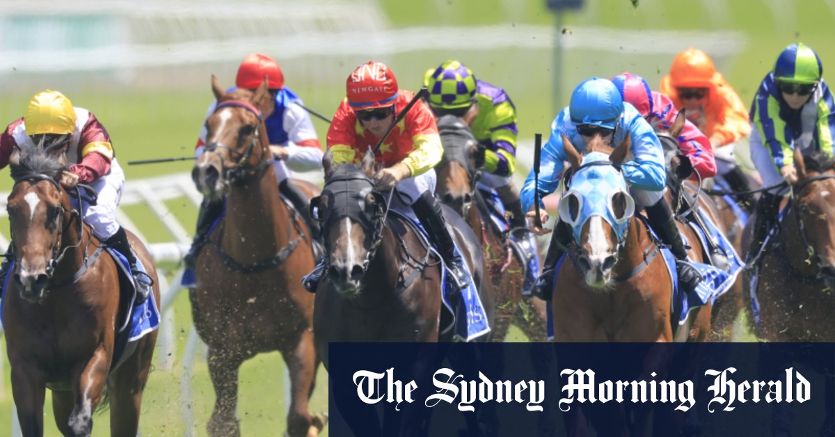 Courses de Canterbury Conseils du mercredi et aperçu complet