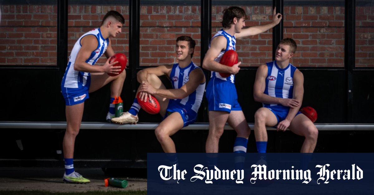 bêtes compétitives au cœur de la reconstruction des kangourous du nord de Melbourne