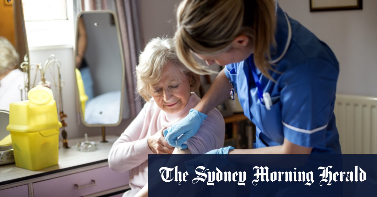 Domaines de l'enseignement, de l'informatique et de l'ingénierie parmi les diplômes universitaires accélérés en programme pilote