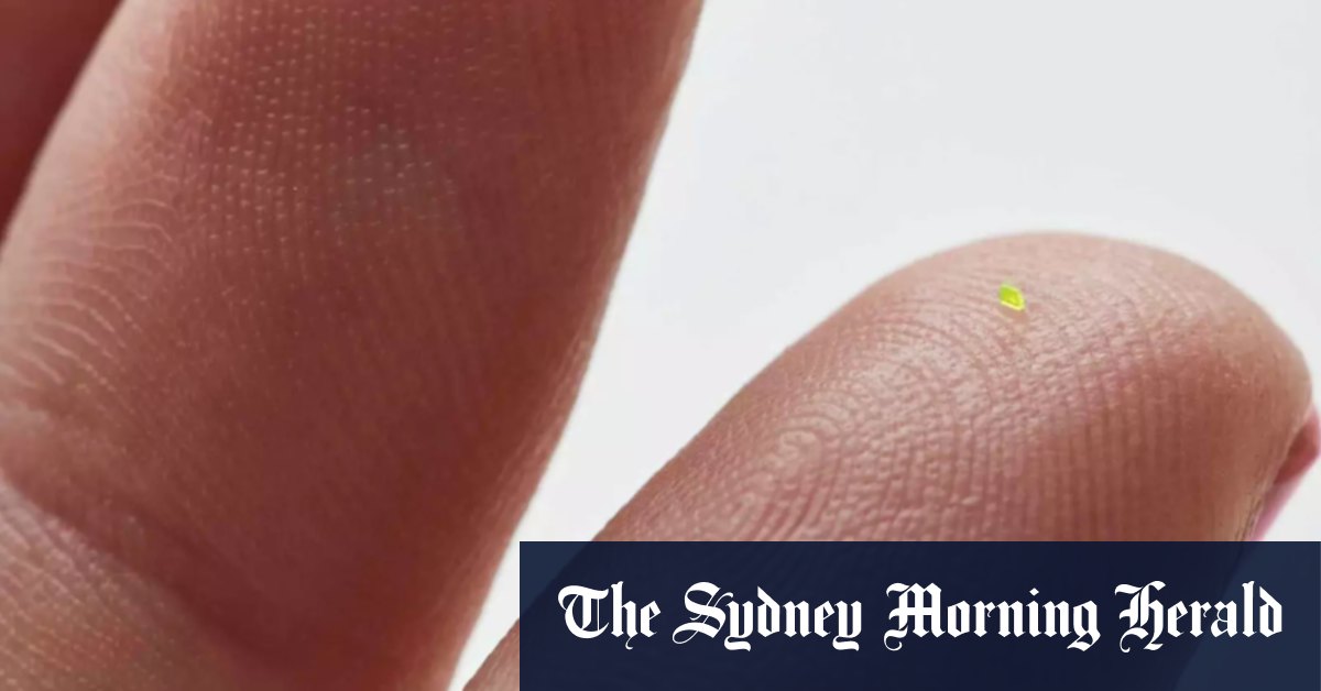 Le plus petit sac que vous ayez (pas) vu