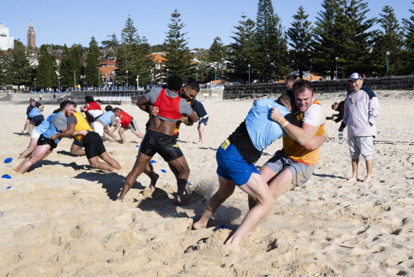 Les wallabies s'affrontent lors d'exercices de lutte en tête-à-tête.