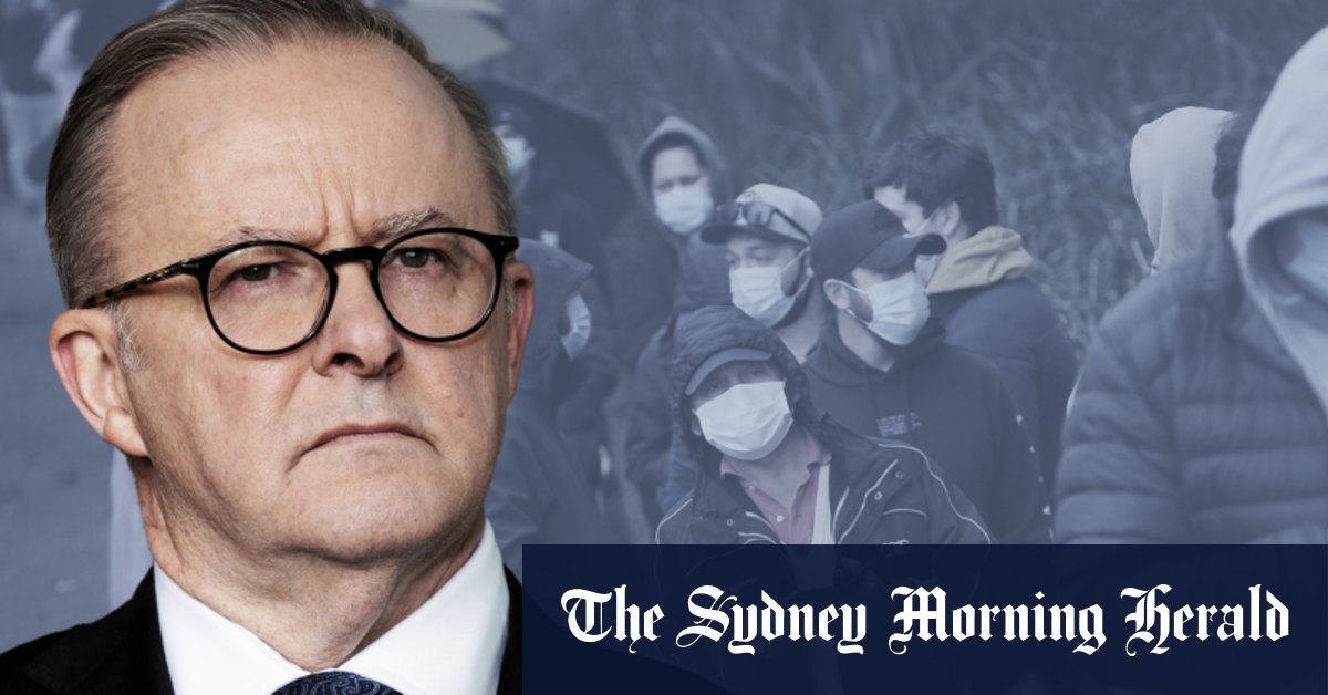 Le Premier ministre Anthony Albanese fait face à une demande d'enquête sur la pandémie de COVID-19
