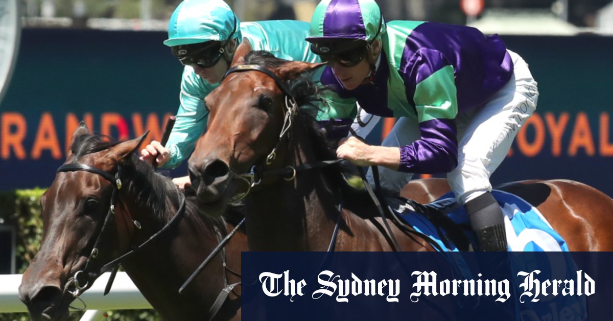 Gosford courses jeudi conseils et aperçu complet