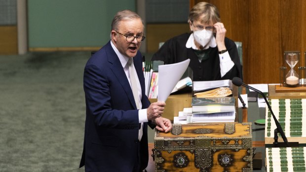 Il devrait y avoir une enquête parlementaire pour savoir si Albanese est ou non un Swiftie légitime.