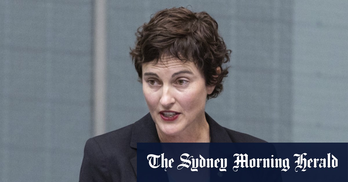 Les Teals craignent que de nouvelles règles sur les dons ne tuent le mouvement des indépendants