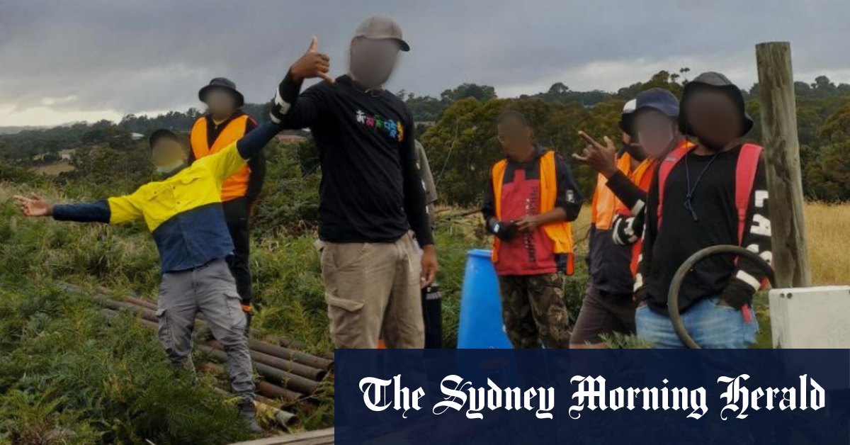 Visa de travail australien pour les insulaires du Pacifique laissant les gens fauchés et affamés, selon les travailleurs