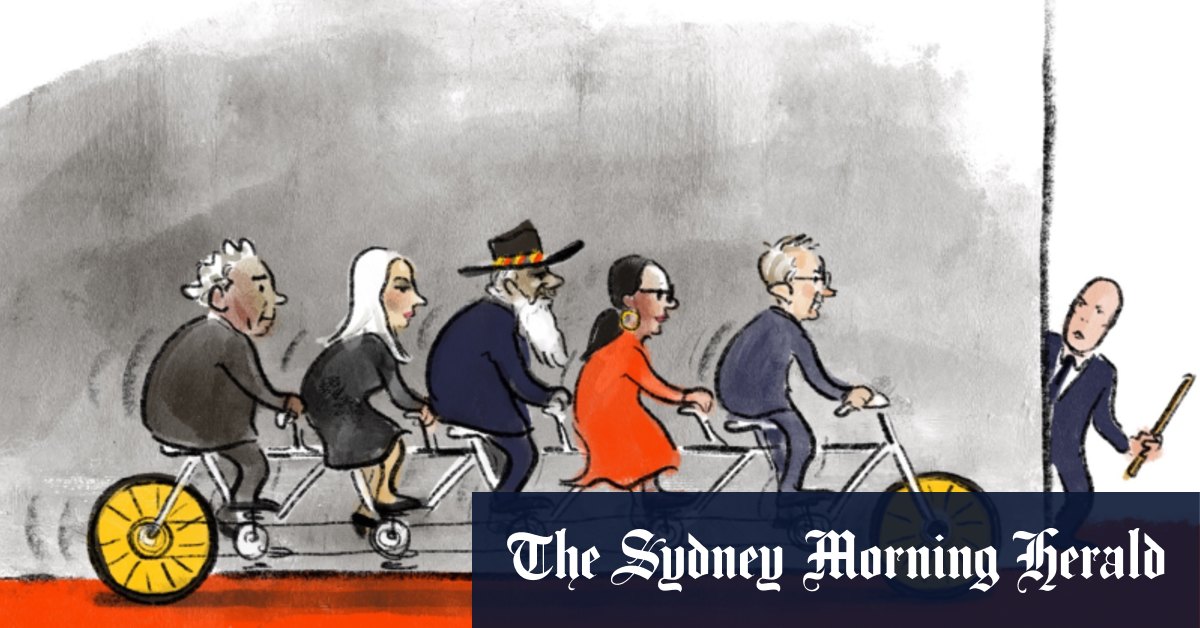 Les dernières illustrations de l'artiste Cathy Wilcox