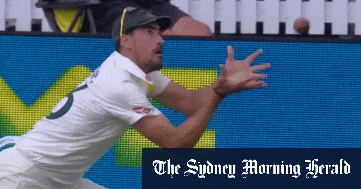 Glenn McGrath qualifie la décision de « honte » après que la capture de Starc a été refusée alors que l’Australie poursuit la victoire lors du deuxième test à Lord’s