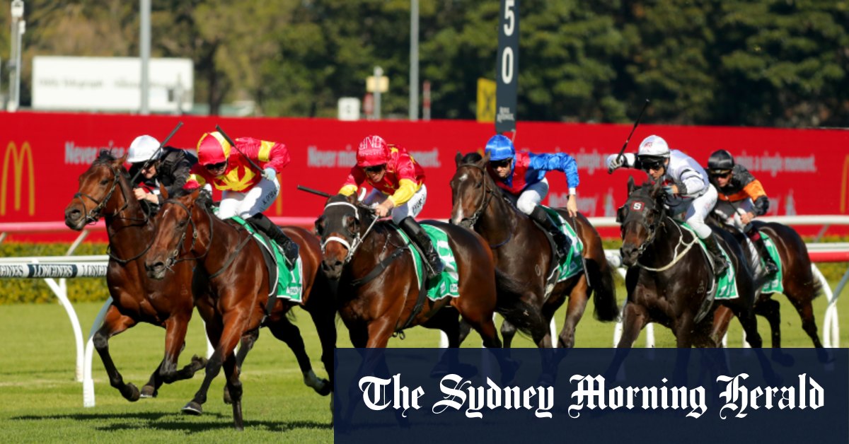 Conseils du mercredi sur les courses de Randwick et aperçu complet de la réunion de Kensington