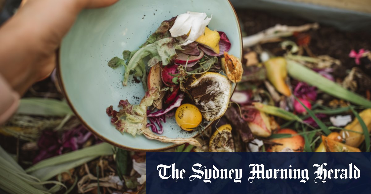 Les erreurs simples qui pourraient ruiner votre compost