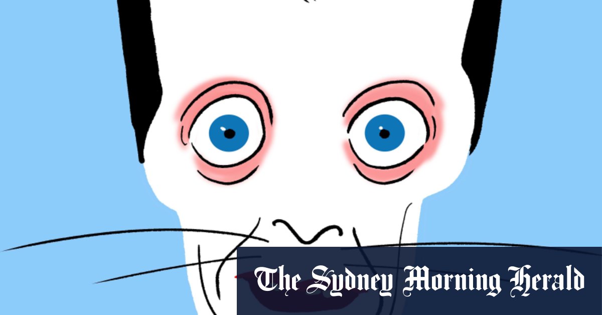 Pourquoi personne ne répond à mes e-mails bizarres ?