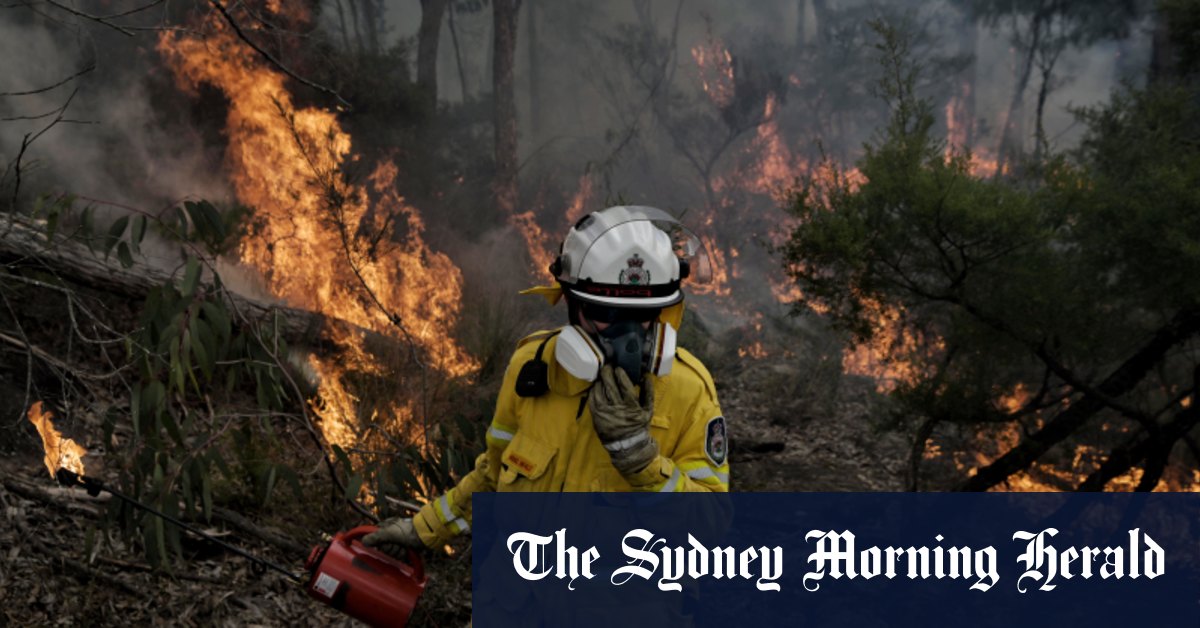 L'inquiétude des feux de brousse en Nouvelle-Galles du Sud augmente après des années de fortes pluies