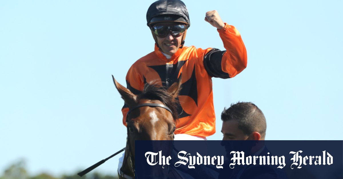 Maloney s'installera à Sydney pour le printemps