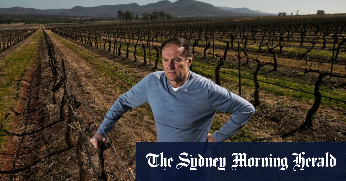 Les vignobles de Hunter Valley ne peuvent pas entrer sur la liste du patrimoine en raison de la situation de catch-22