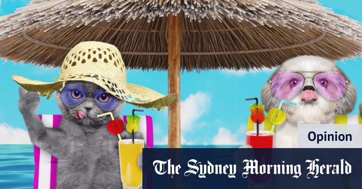 Comment protéger vos animaux de compagnie des effets du changement climatique