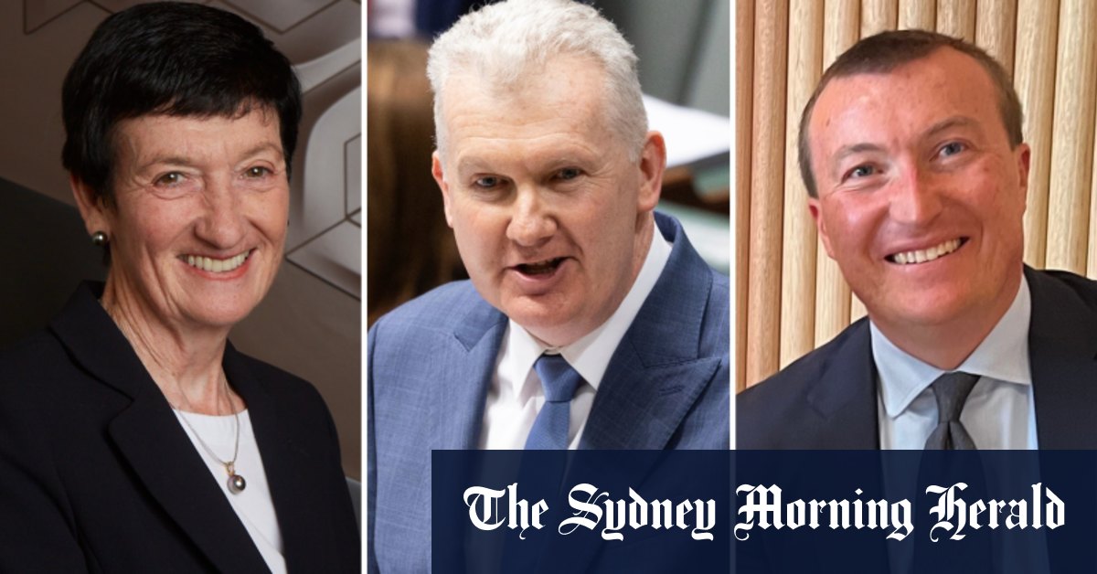 Le Business Council of Australia nomme Bran Black, membre du personnel libéral, au poste le plus élevé alors que la confrontation des IR se profile
