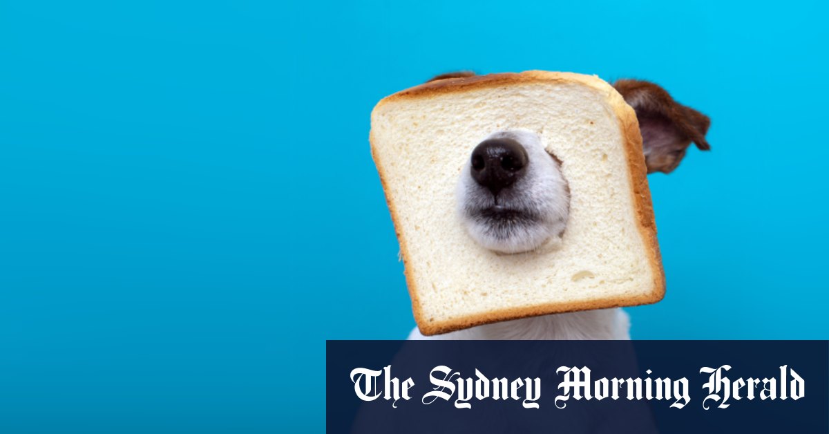 Envoyez de l'aide, mes colocataires ont commencé un régime absurde