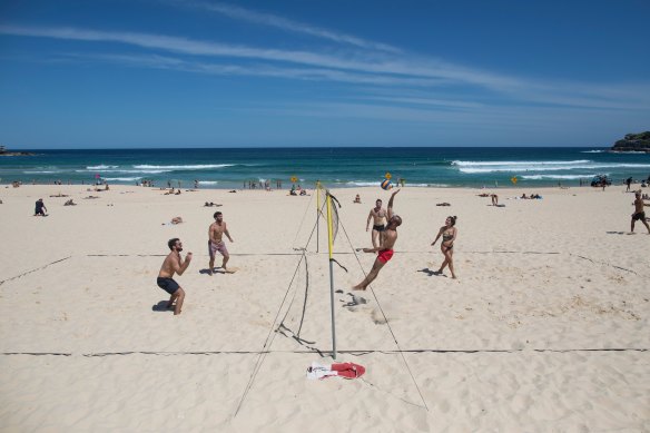 Les filets de volley-ball posés sur le sable de Bondi sont à peu près aussi utiles à la sécurité publique que les filets à requins.