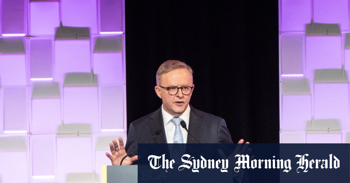 Anthony Albanese est ouvert aux réformes, mais Jim Chalmers met fin aux discussions sur les réductions d'impôt sur les sociétés