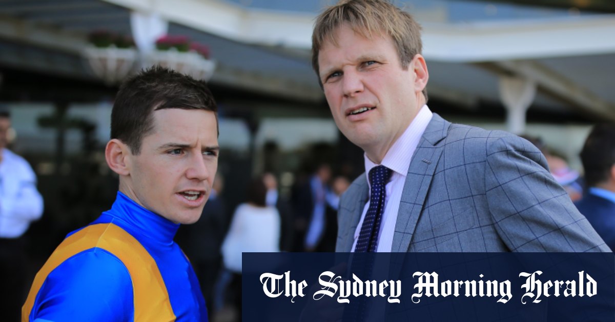 Hollywood Hero et Iknowastar auditionneront pour le Big Dance