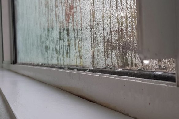 La condensation a provoqué la croissance de moisissures à l'intérieur et derrière les murs de l'ancienne maison en planches de bardage des Sœurs. 