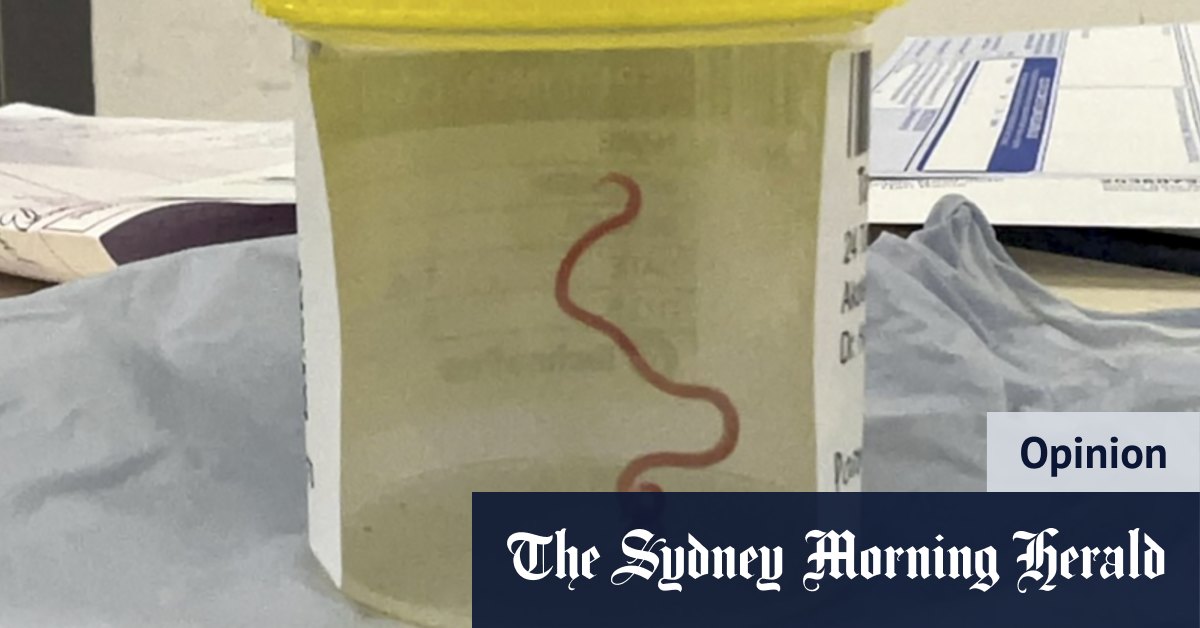 Les vers cérébraux dans mon esprit me rendent désespéré à l'idée d'un vaccin contre les peurs irrationnelles