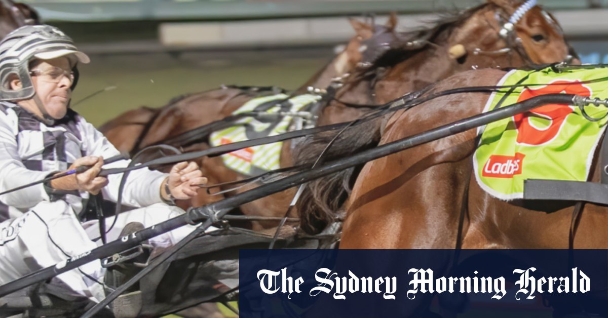 Leap To Fame s'apprête à couronner la carrière de Grant Dixon à Menangle dans la course attelée la plus riche du monde