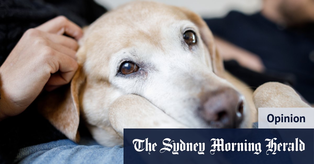 À quoi nous dépensons notre argent en diminution