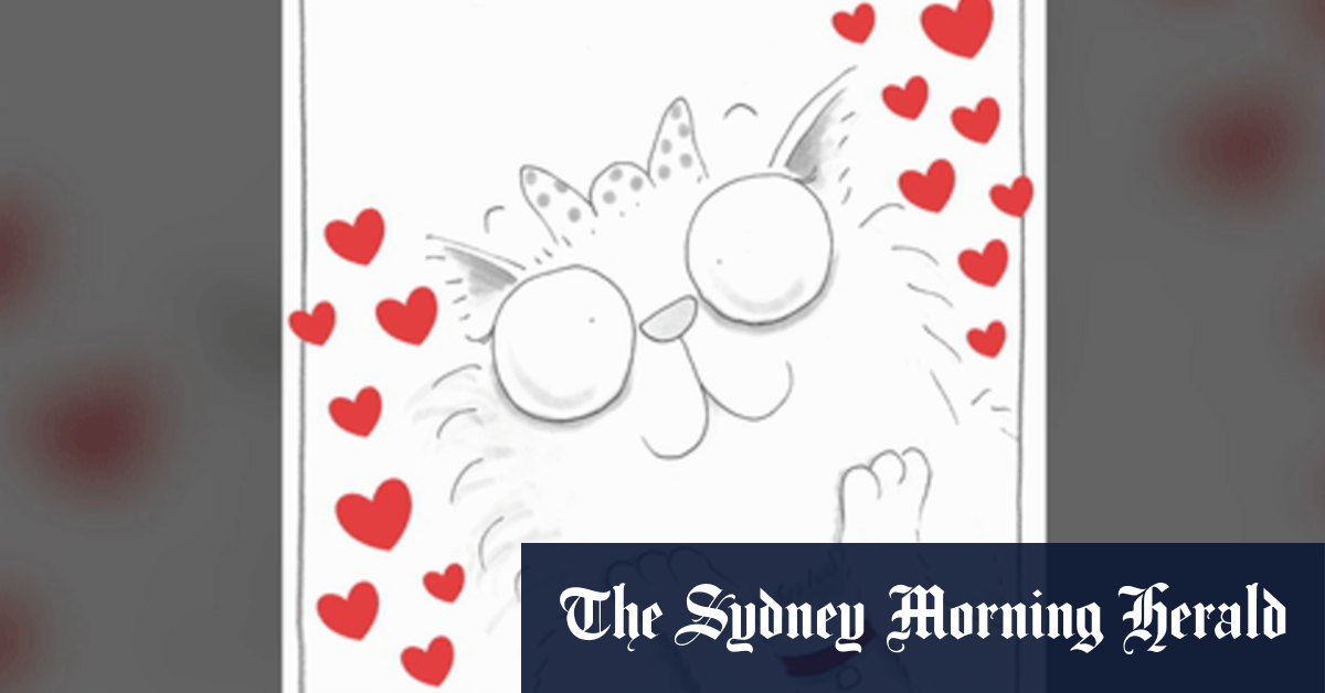 The Bad Guys d'Aaron Blabey vit dans le même univers que son dernier, Cat on the Run.