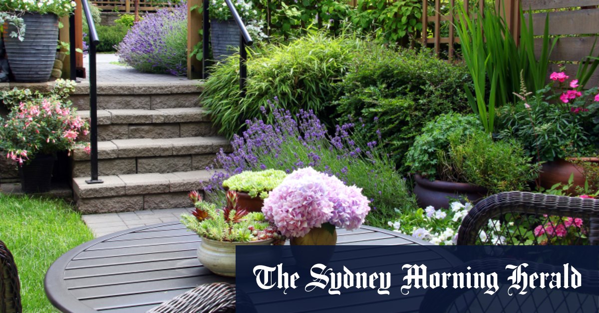 Voici exactement quoi faire dans votre jardin, maintenant c'est enfin le printemps