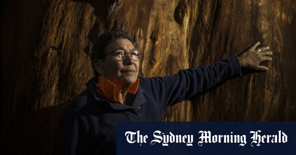 Tante Cheryl Drayton a convaincu le député de Monash Russell Broadbent de voter non
