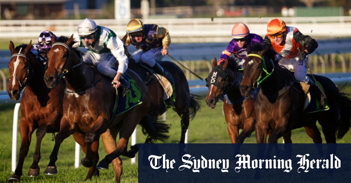 Guide course par course et conseils pour Muswellbrook mardi