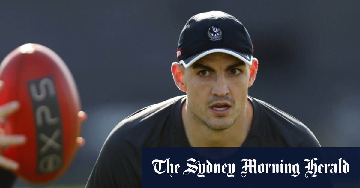 Shaun Smith critique le verdict du tribunal de l'AFL lors de l'affrontement entre Brayden Maynard et Angus Brayshaw comme « une blague absolue »