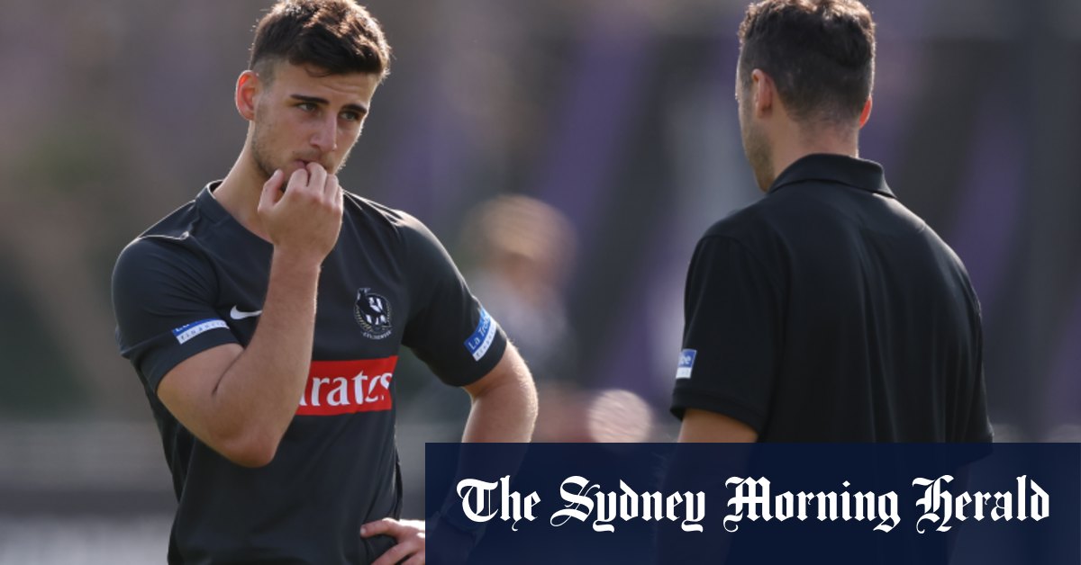 Les Collingwood Magpies disent à Brayden Maynard de s'en tenir à ses armes après l'incident d'Angus Brayshaw