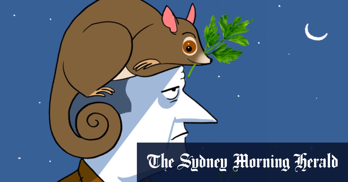 Best of dessins animés, 16 septembre 2023